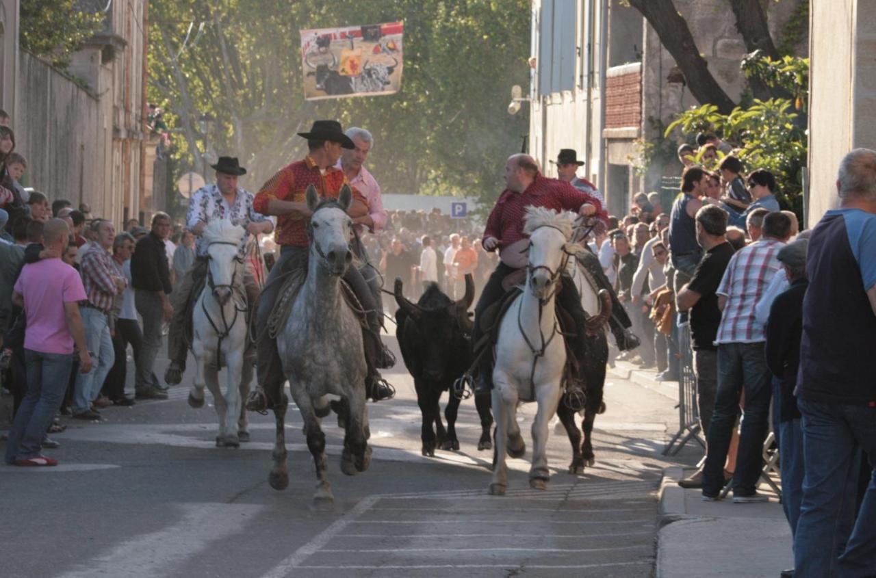 Gite De Vacances En Camargue ☆☆Nn Vauvert Eksteriør bilde